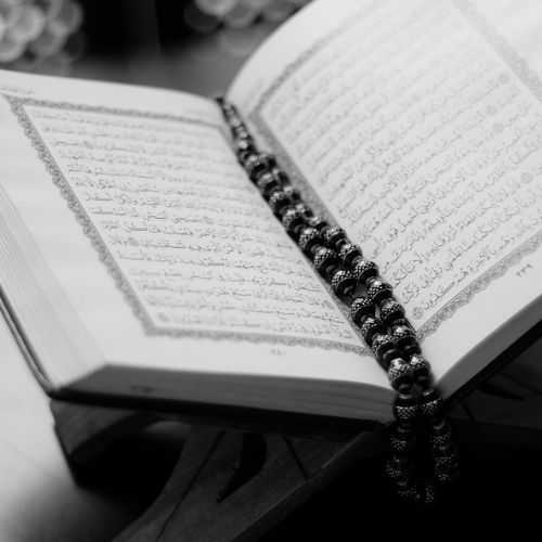 Cennetü’l-Muallâ